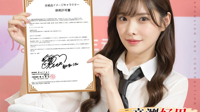 上海SaaS平台API接口参数集成费用解析